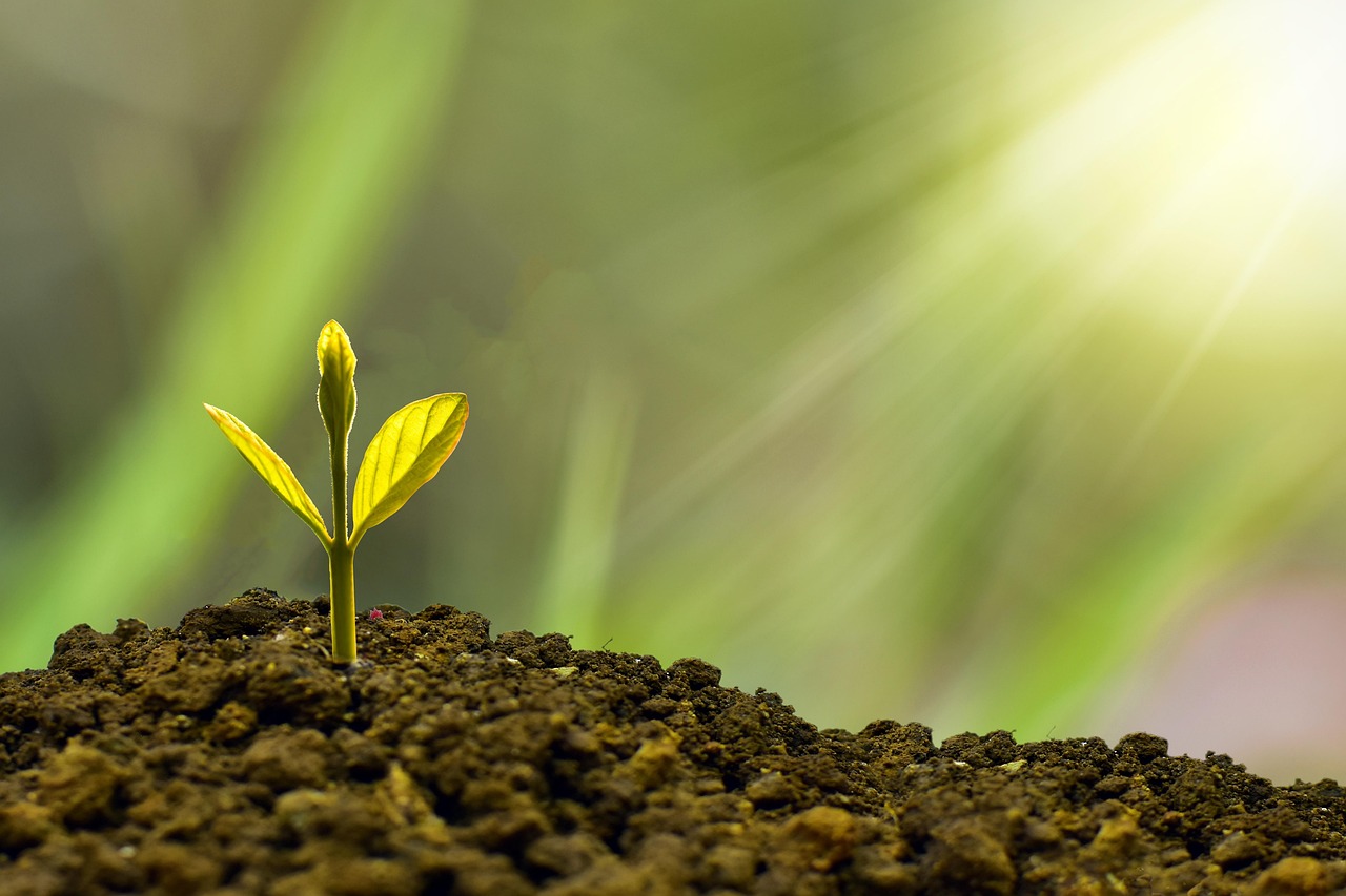Mid-Market Companies Are Winning With Smarter Outsourcing